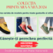 Pantofii casual din piele naturală, un must-have pentru garderoba ta!